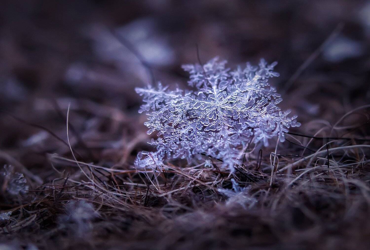 , Павел Сагайдак