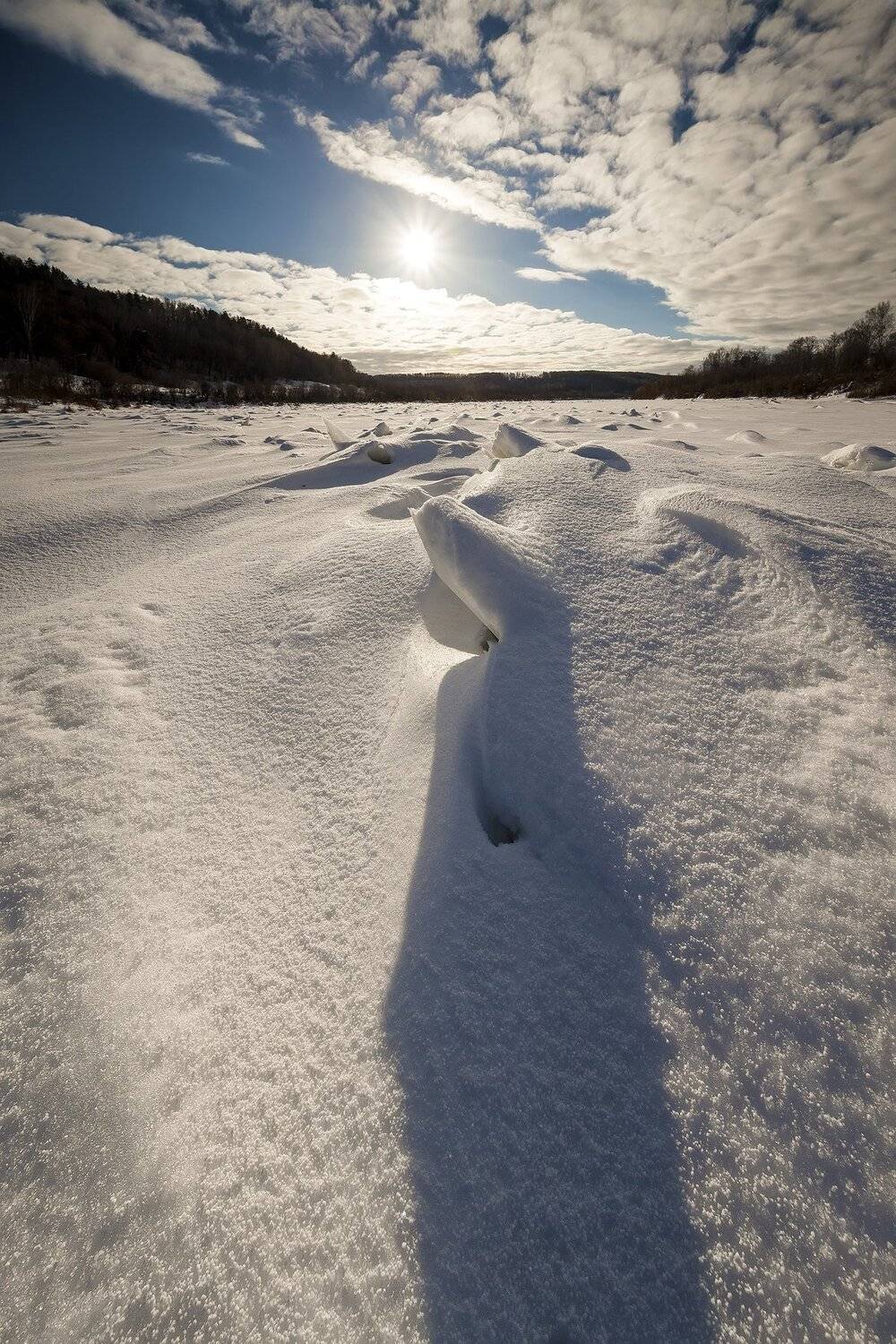 , Виталий Стрельцов