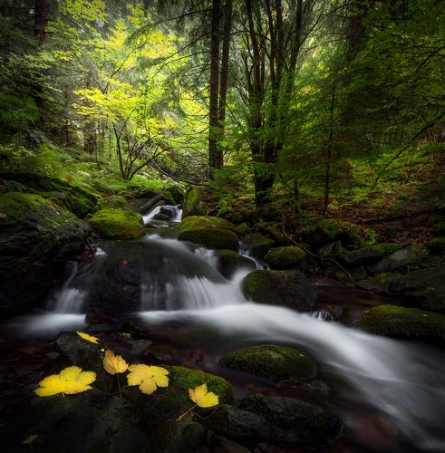 Bistritsa river, Vitosha Mountain