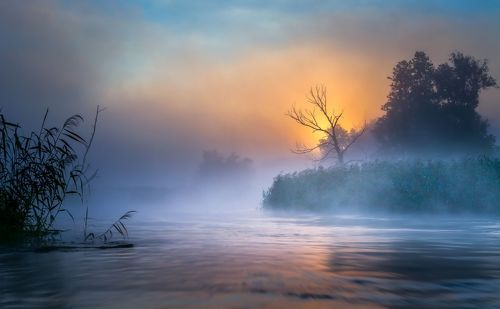 Rowing through a misty morning.