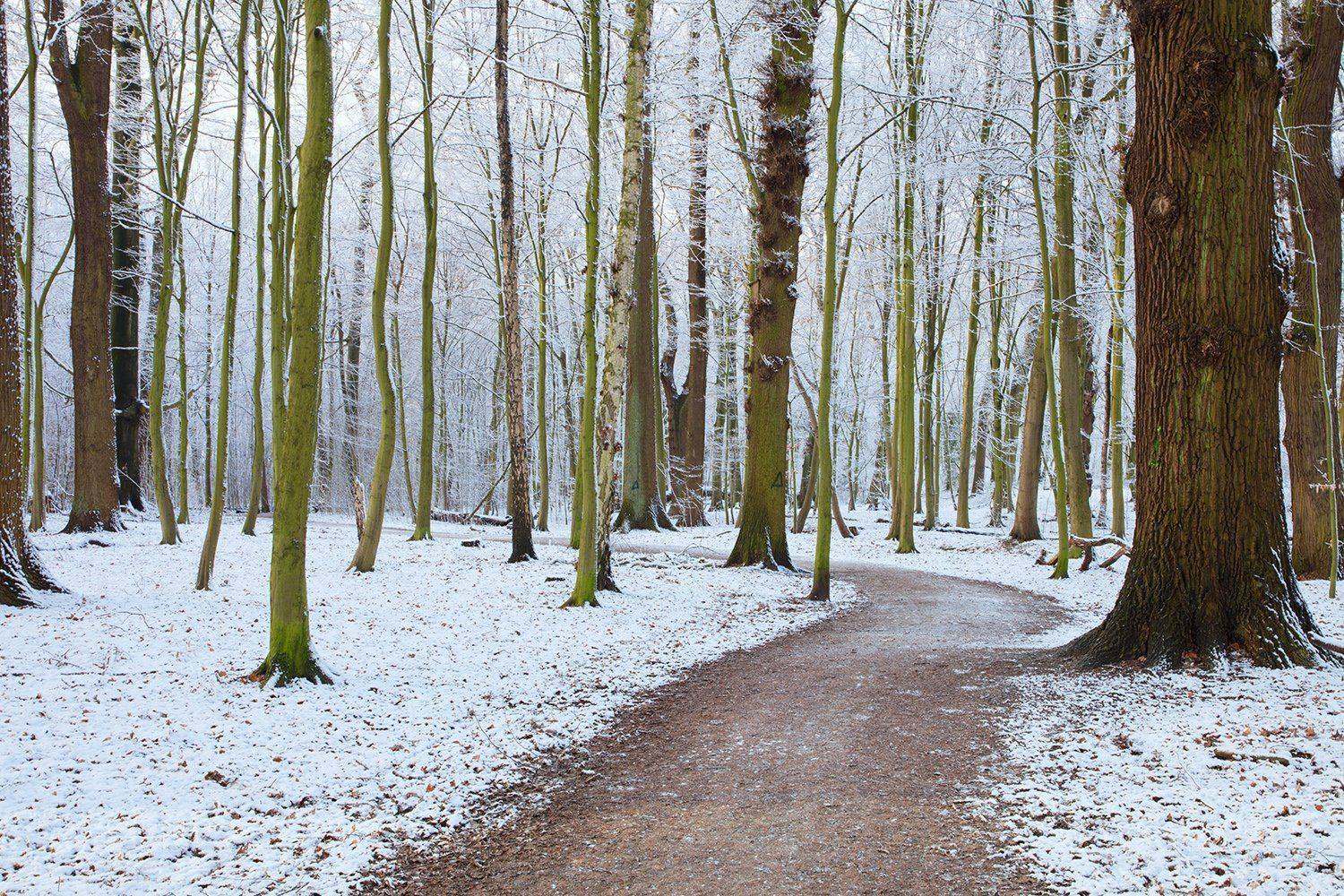 , Игорь Дубровский