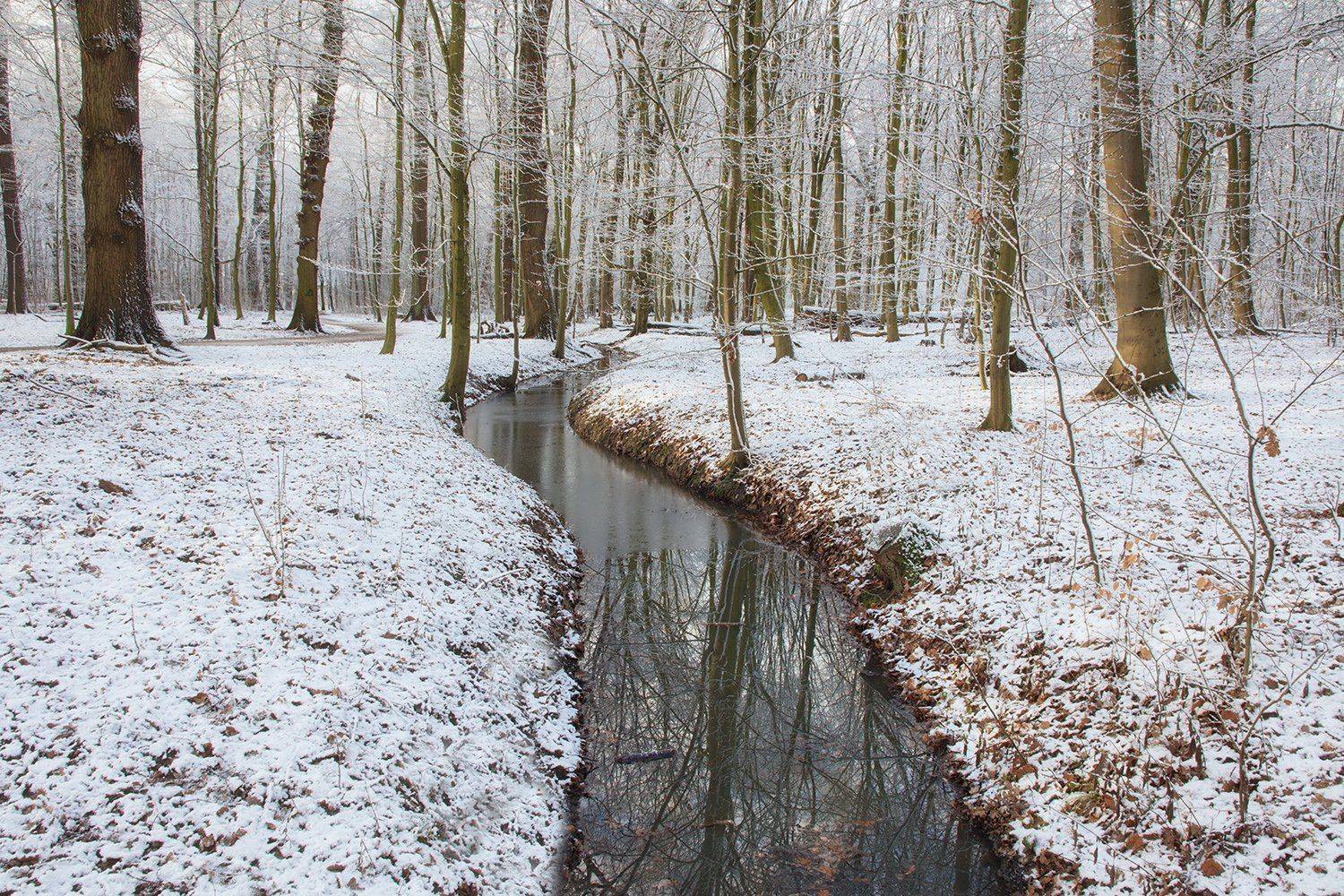 , Игорь Дубровский