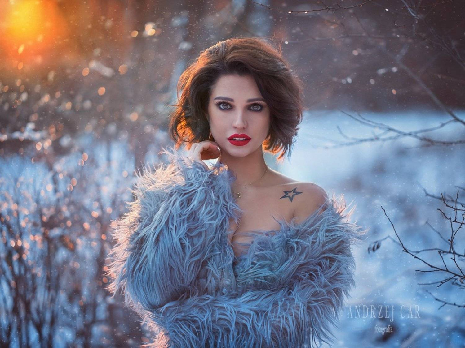 Snow Queen . Автор: Andrzej Car , Andrzej Car