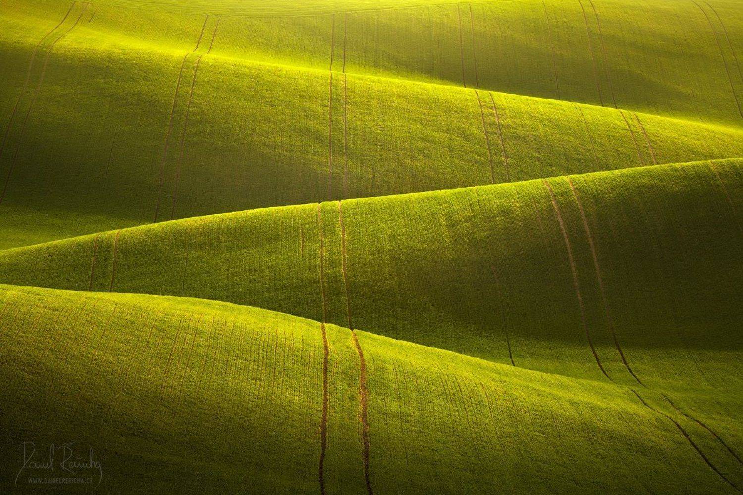 Czech Republic, Bohemia, Czech, South moravia, Moravia, Moravian tuscany, Tschechische Republik, S&uuml;dm&auml;hren, M&auml;hren, Europe, trees, spring trees, green, evening field, spring field, morning, waves, landscape, , Daniel Rericha