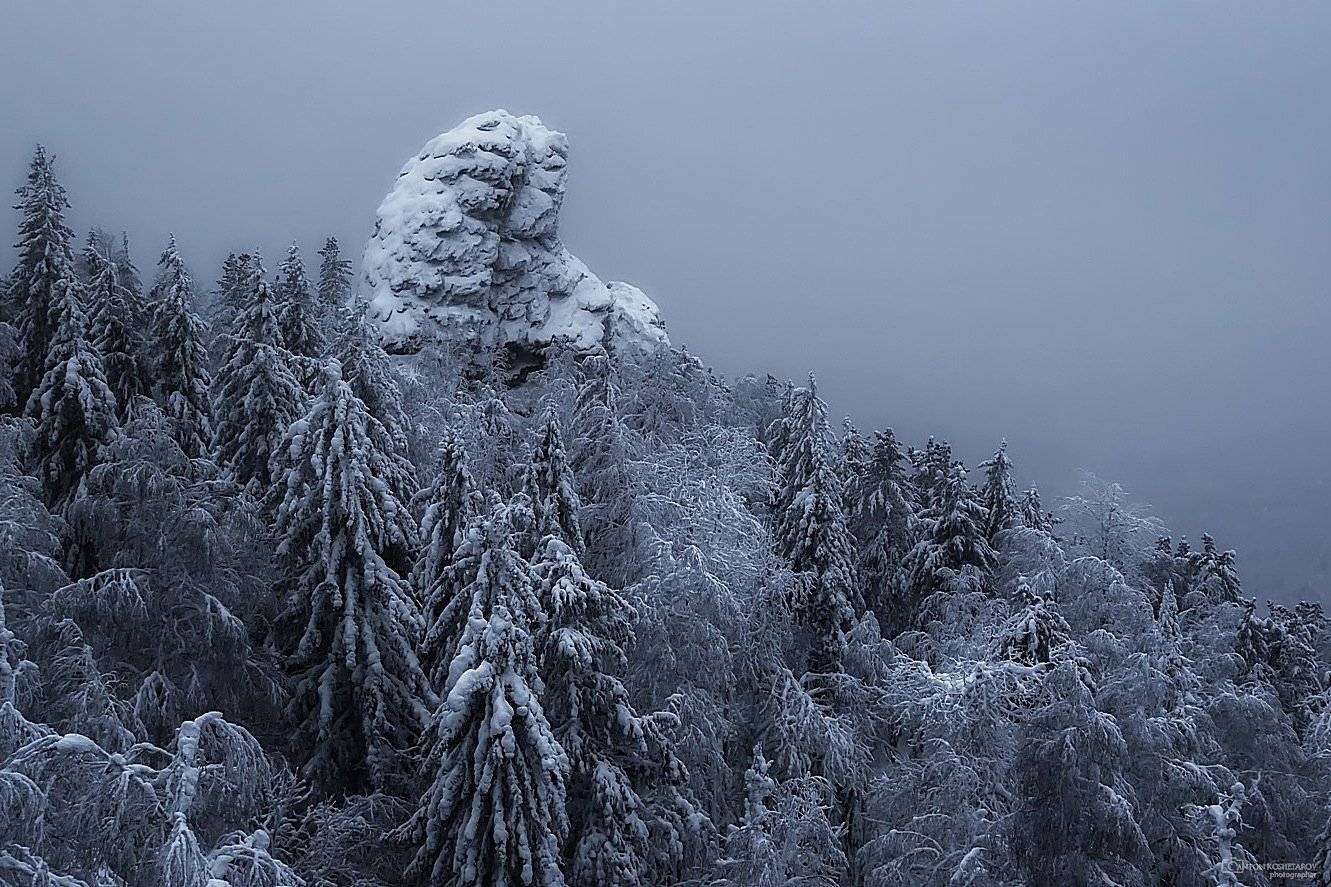 колпаки, пермский край, зима, ели, урал, природа, снег, Антон Кошетаров