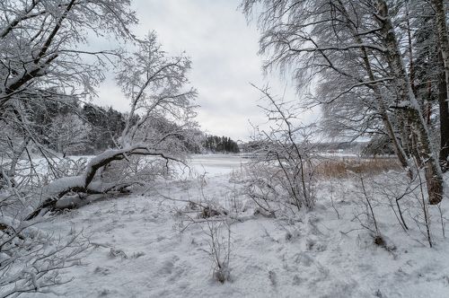 Зима рисует снежные картины