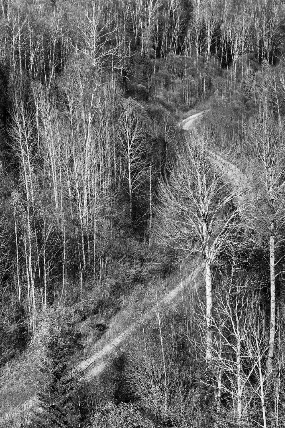 , Гагик Мхитарян