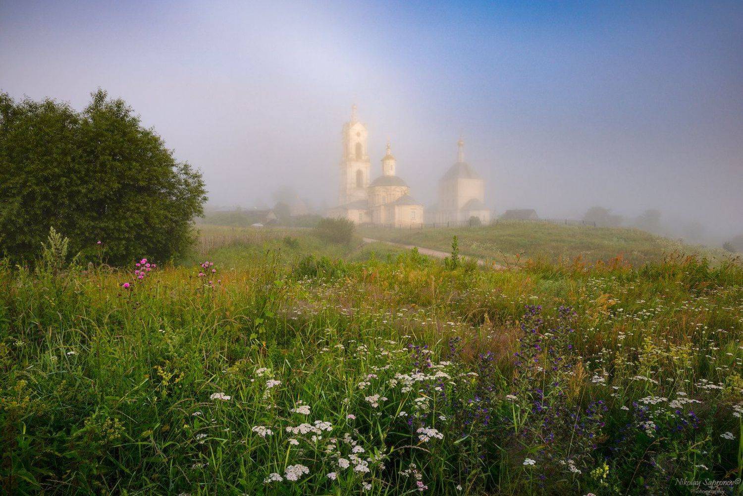 рязанская область, касимовский район, гусь, ока, храмы, лето, туман, летнее утро, утренний пейзаж, русский пейзаж, разнотравье, цветочный луг, луг, Николай Сапронов