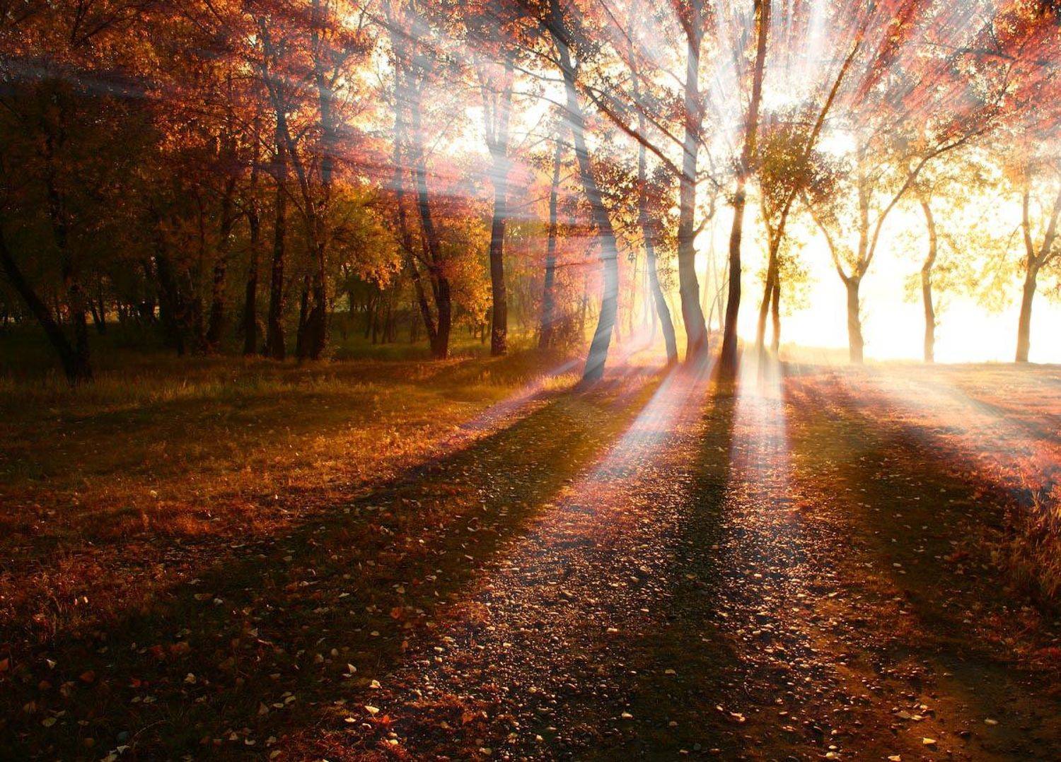 осень, лучи, солнце, Олег Клочков