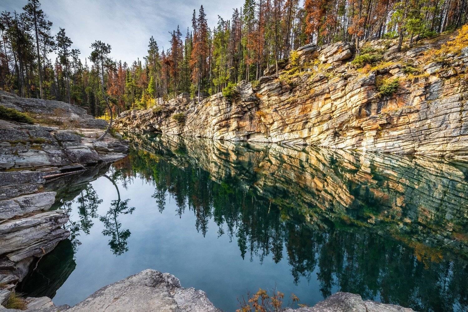 , Александр Лозицкий