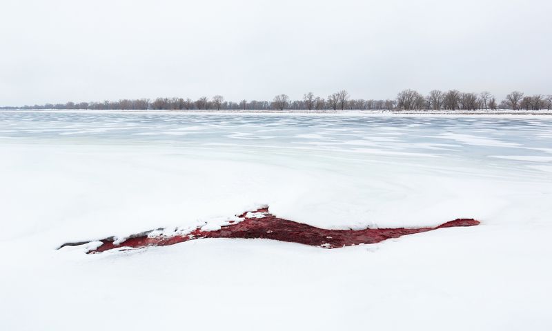 Рана Земли фото превью