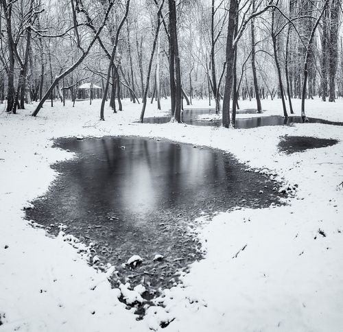Зимы черно-белой полотна.