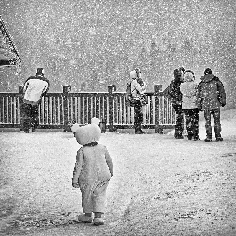 Куда падает снег? / Where does the snow fall? фото превью