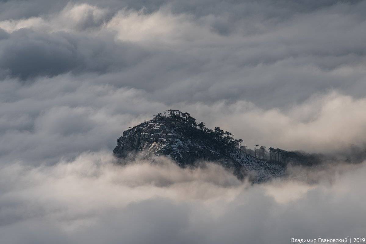 , Гвановский Владимир
