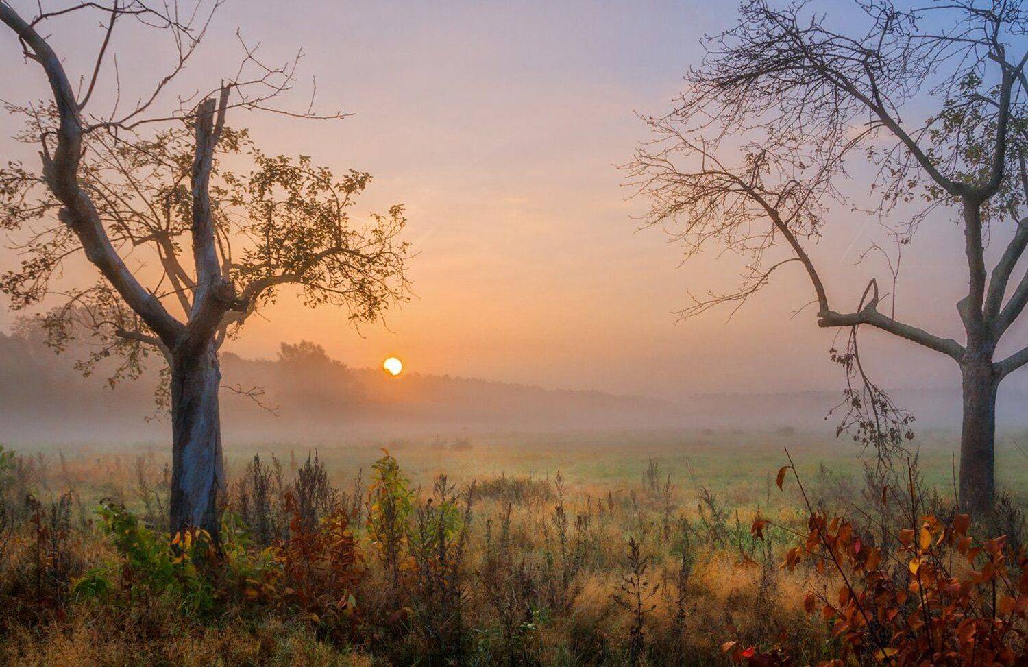 утро, восход, солнце, туман, осень, deutschland, rodgau, германия, Виктор Климкин