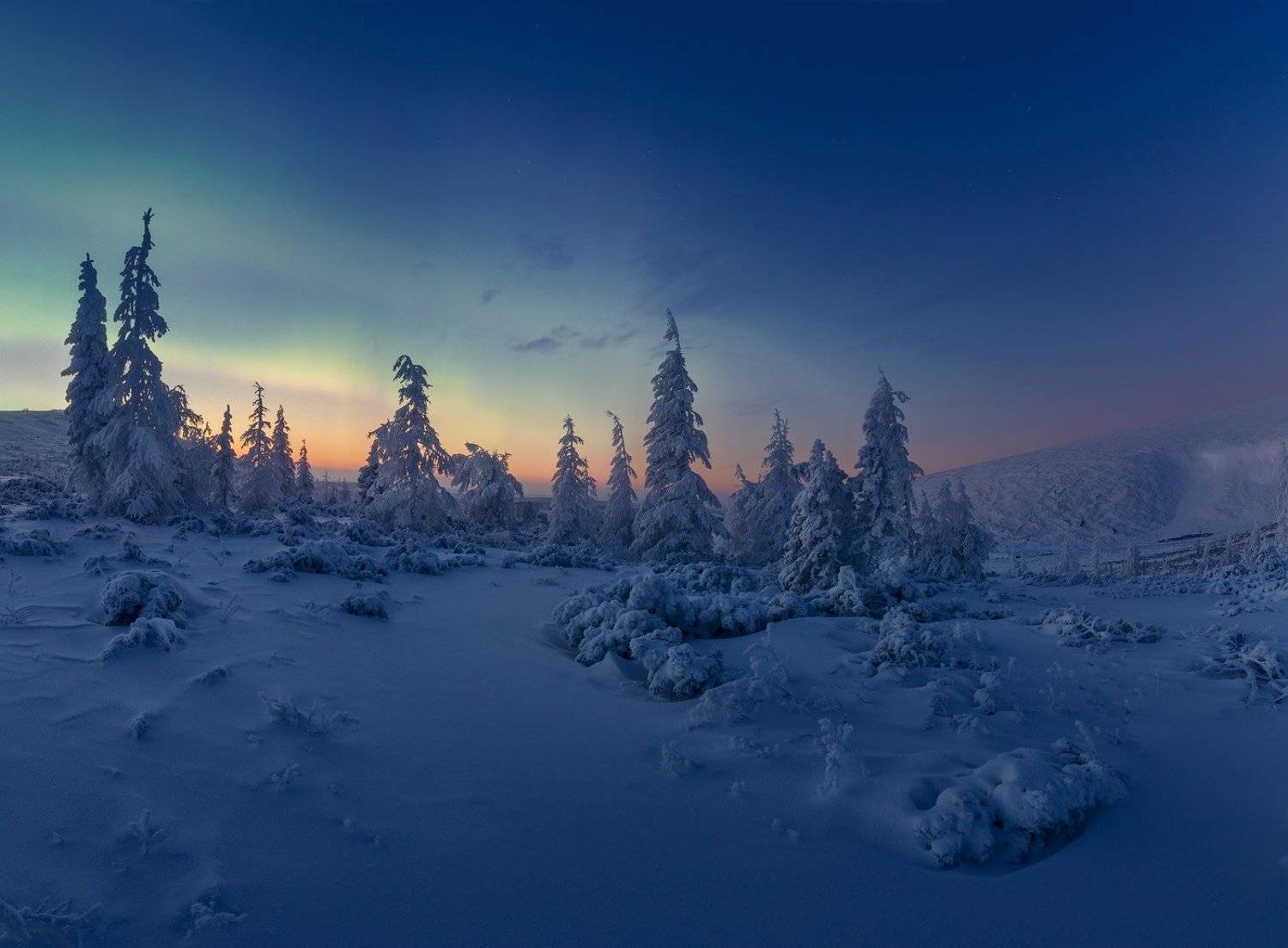 , Дмитрий Демидчик