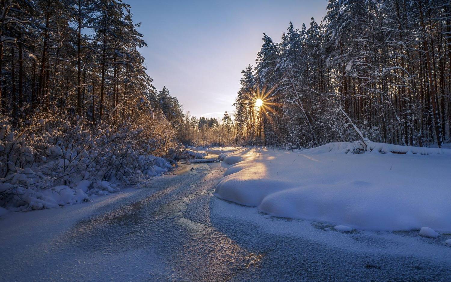 , Евгений Луцко