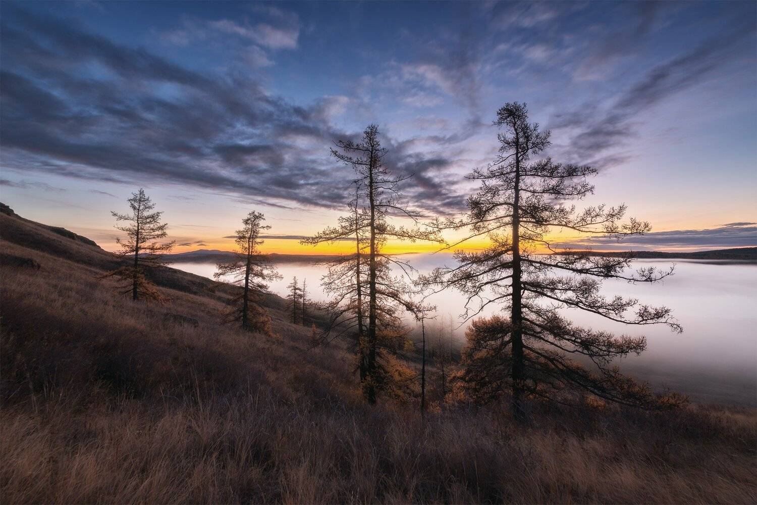 , Михаил Туркеев