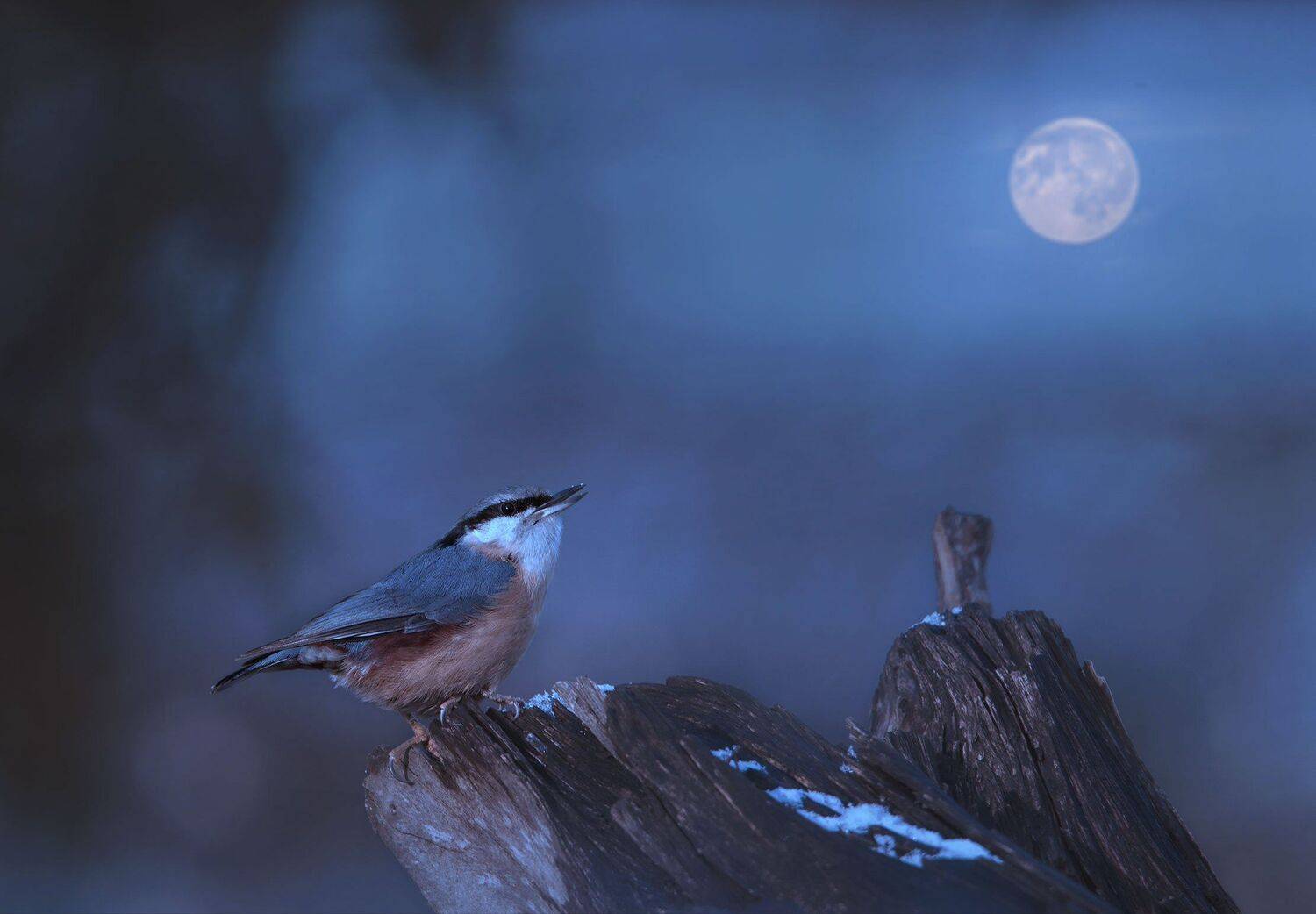 , Arkadiusz Michalak