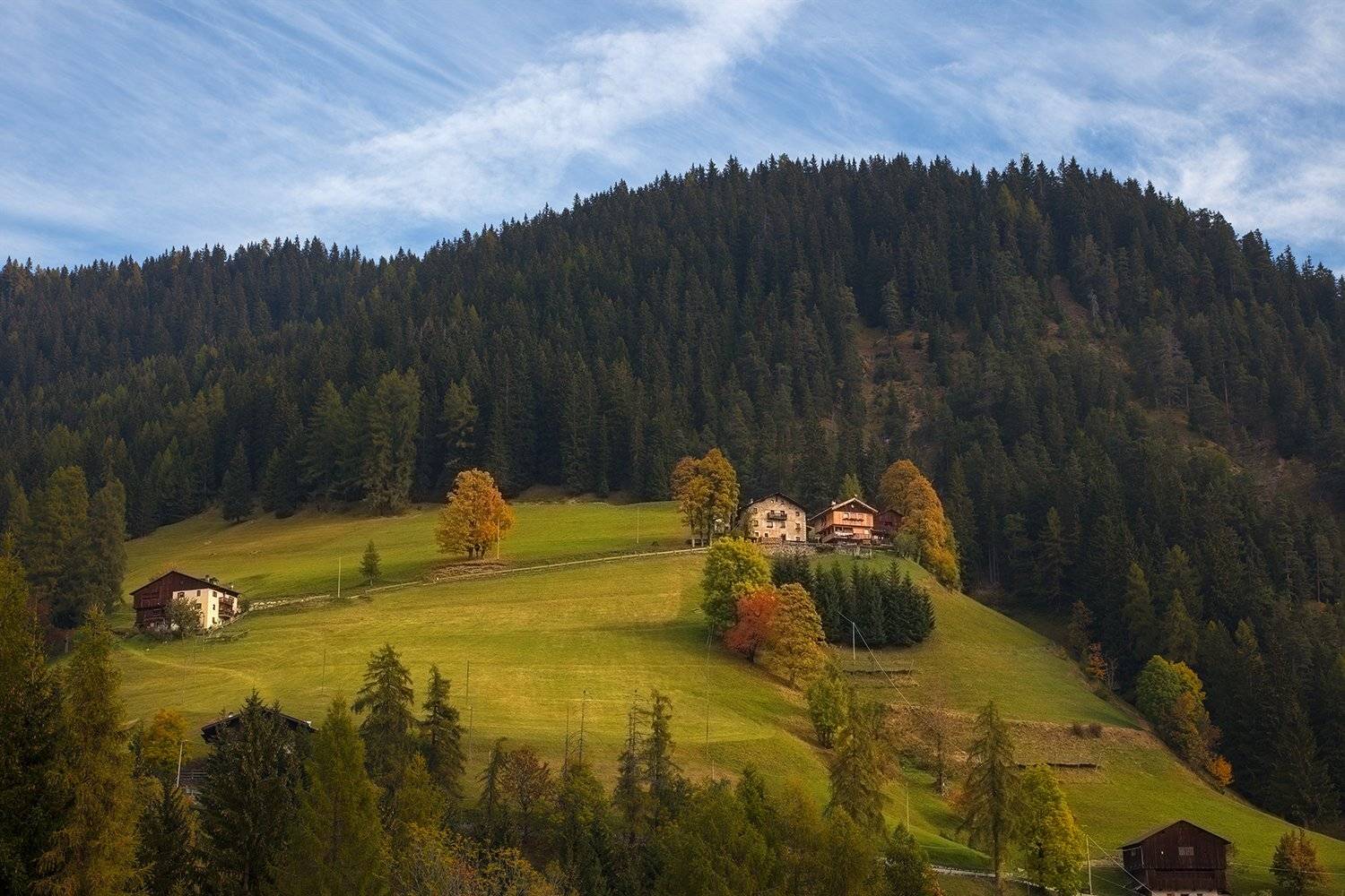 , Игорь Дубровский