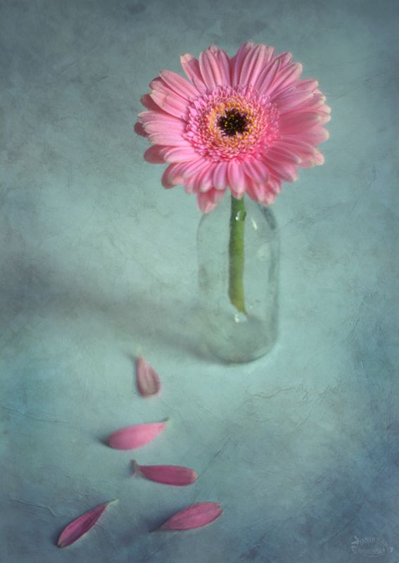 Cztery pory roku - Wiosna фото превью