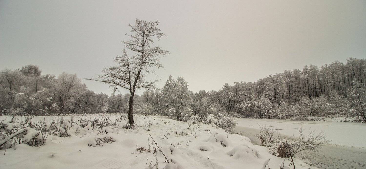 зима, лес, река, озеро, вода, усмань, снег, Руслан Востриков