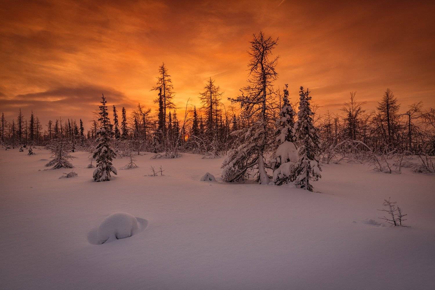 , Евгений Кужилев