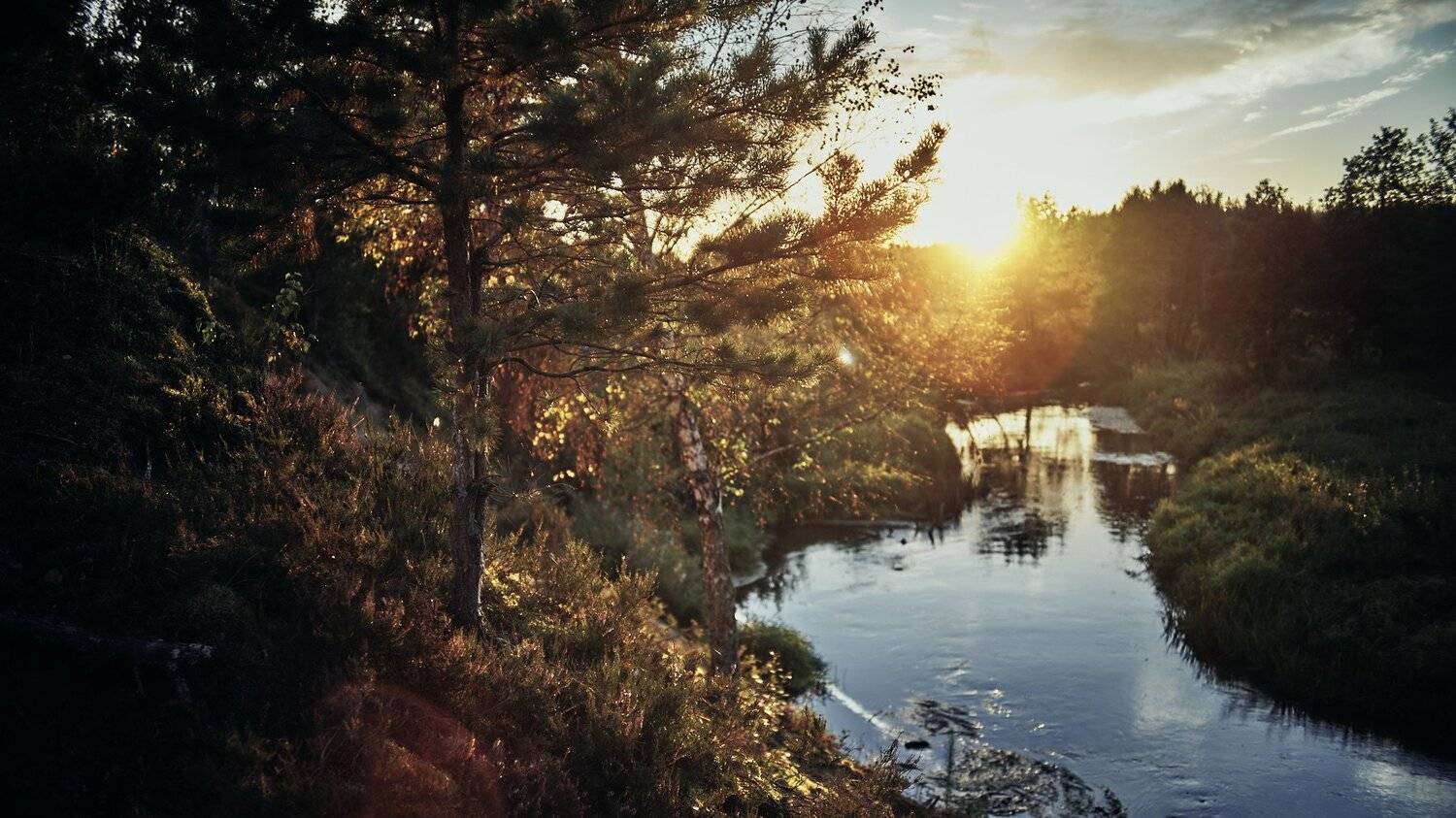 , Александр Фанковин