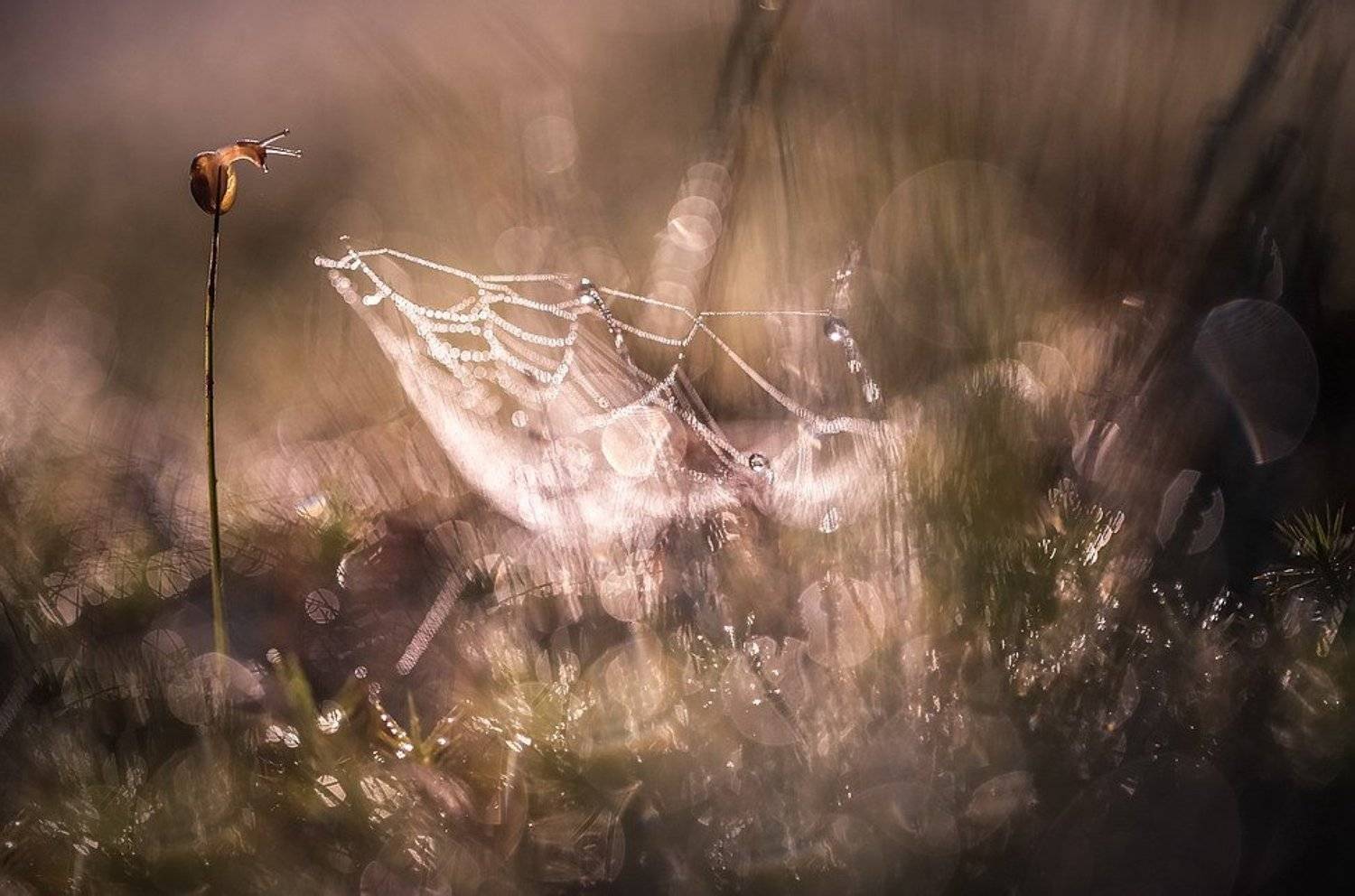 , Вячеслав Мищенко