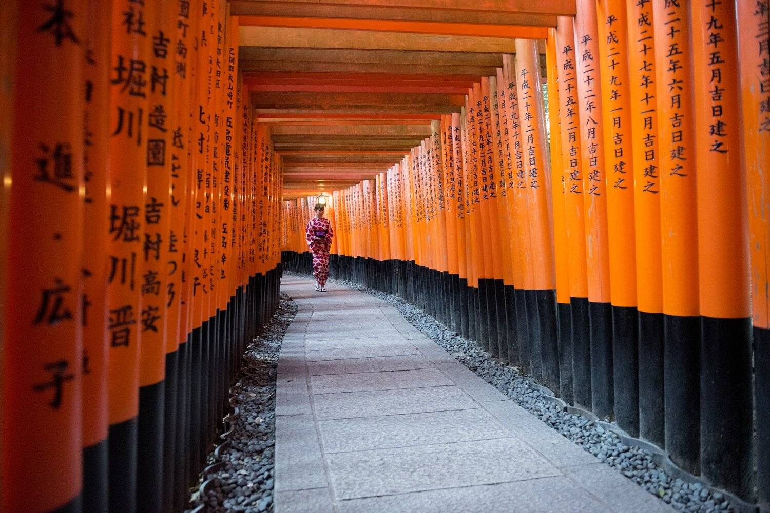 Kyoto, Edgars Gerskovics