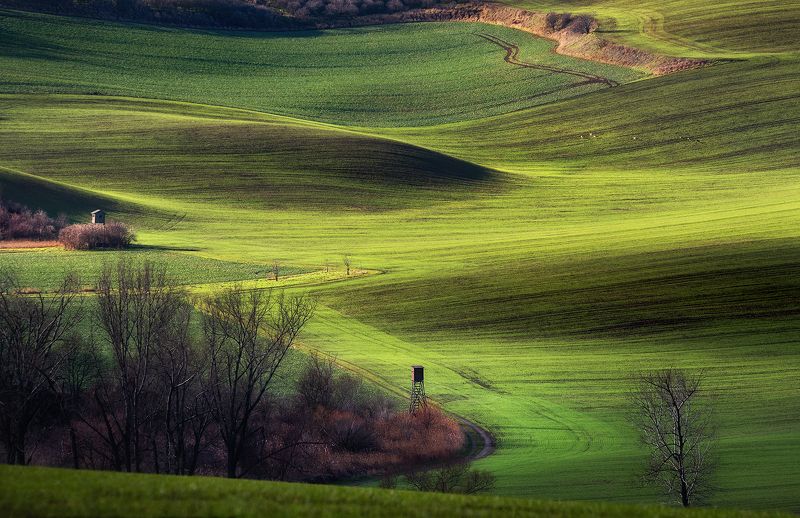 Провинциальная идиллия фото превью