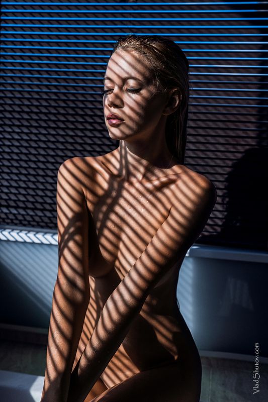 Stripes фото превью