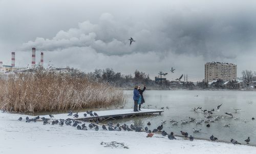 Истории зимних кормёжек.