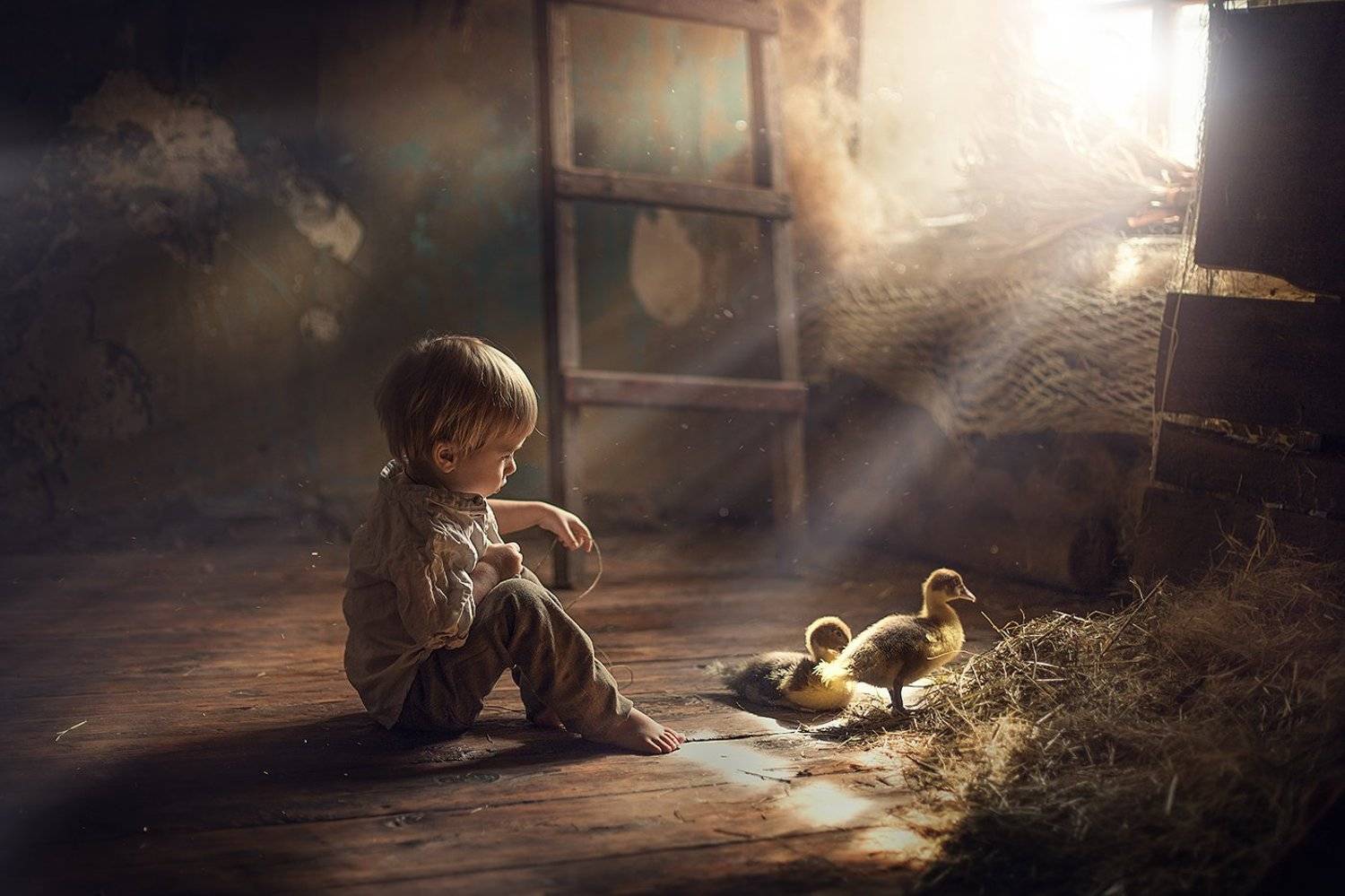 малыш, мальчик, утята, гусята, пасха, деревня, Анастасия Кучина