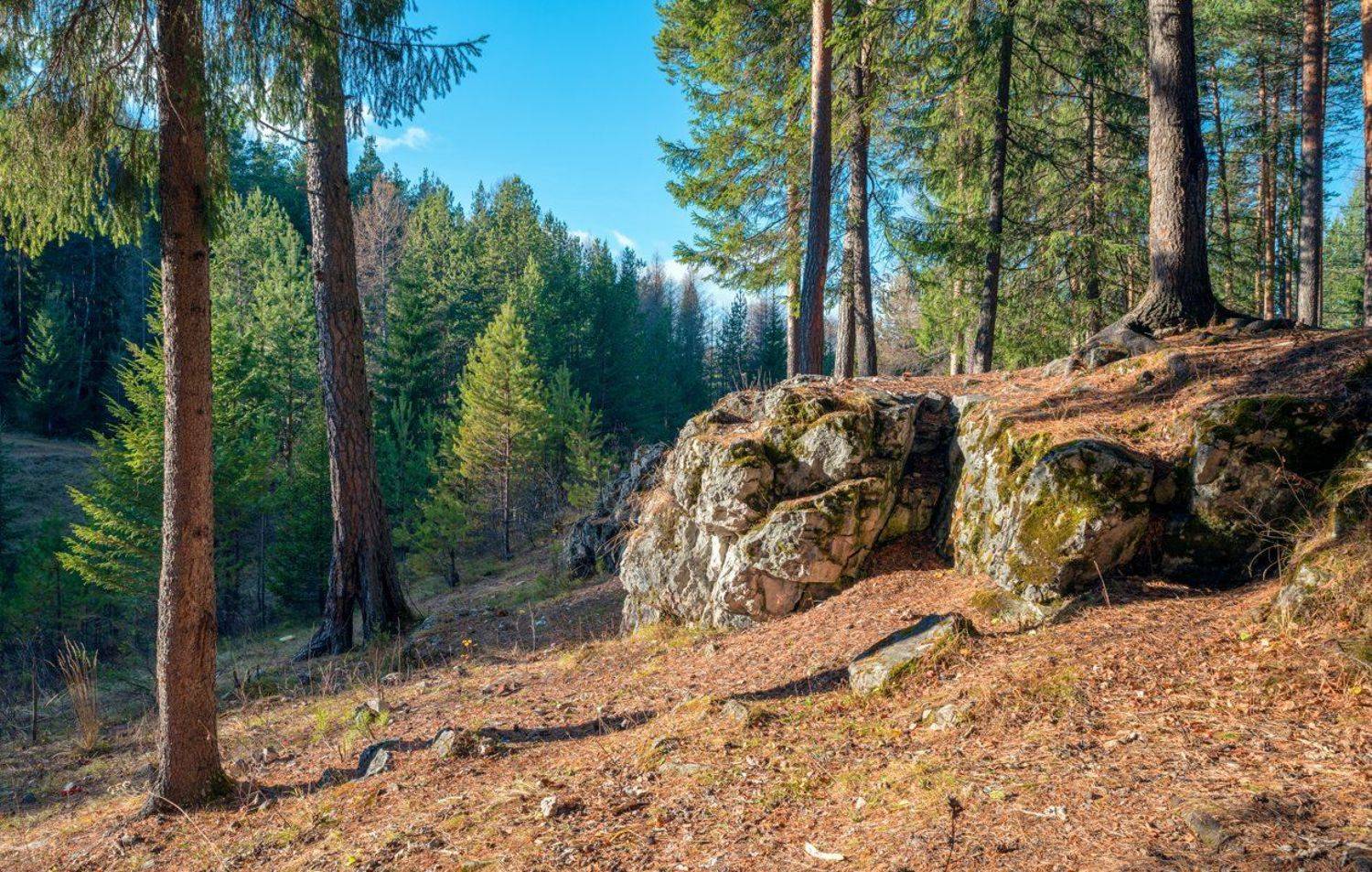 , Воинков Виктор