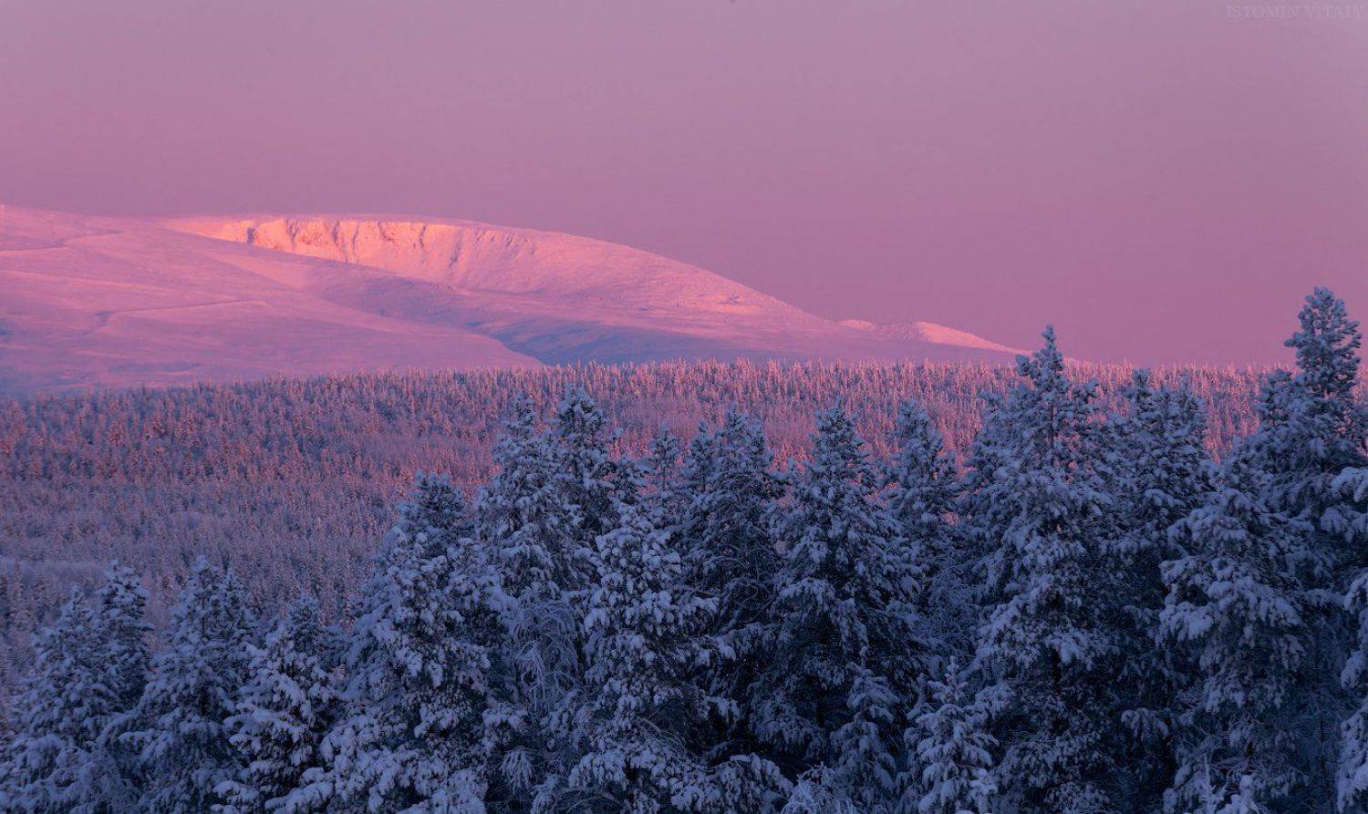 пейзаж,хибины,снег,зима,горы,кольский,север,закат,цвет,Кольский север, Виталий Истомин