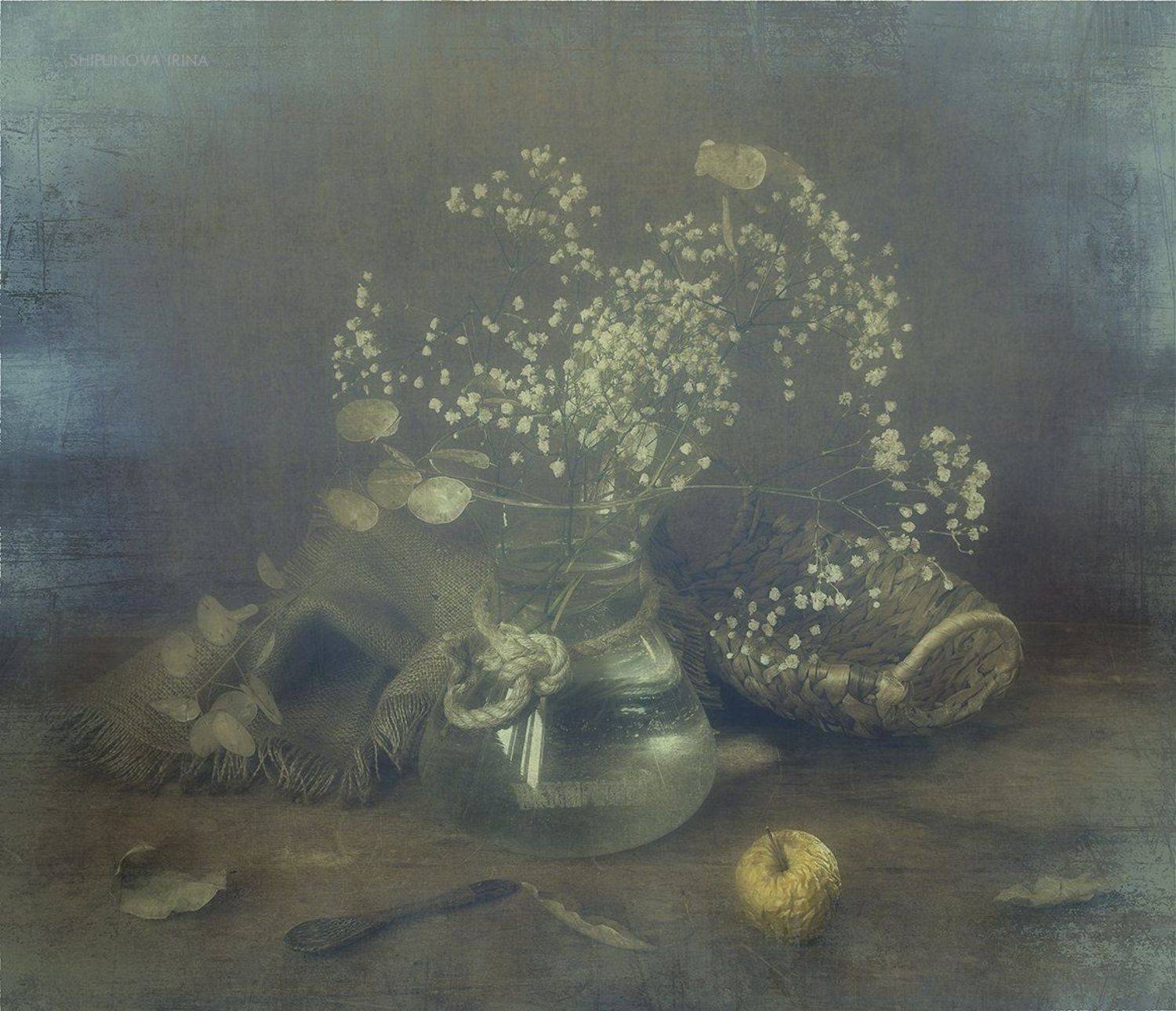 , Шипунова Ирина