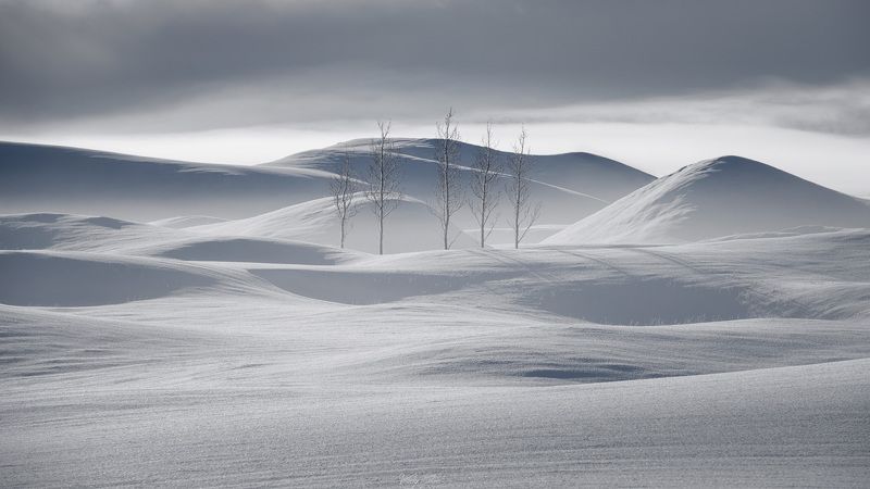 Iceland, winter, trees Stillness of Icelandic winter wonderland фото превью
