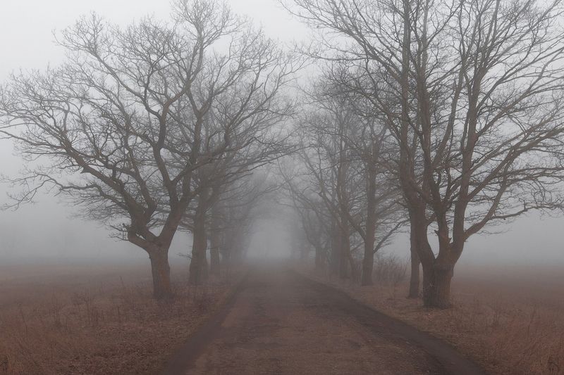 Удрия фото превью