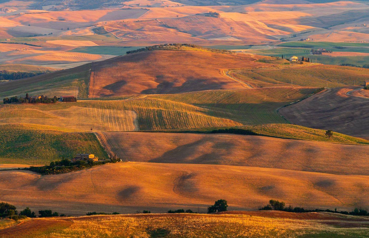 тоскана, Исаков Дмитрий