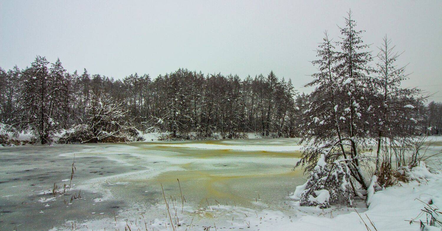 зима, лес, река, озеро, вода, усмань, снег, Руслан Востриков