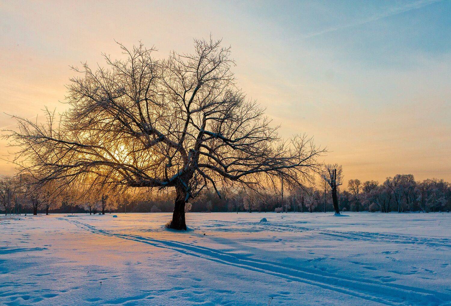 nevant60, пейзаж, красота, андреевский луг, утро, мороз, Александр Березуцкий
