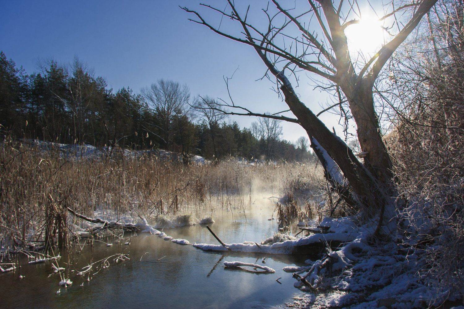 , Александр Войтенко