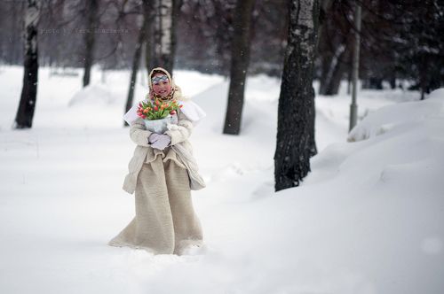 Тюльпаны января
