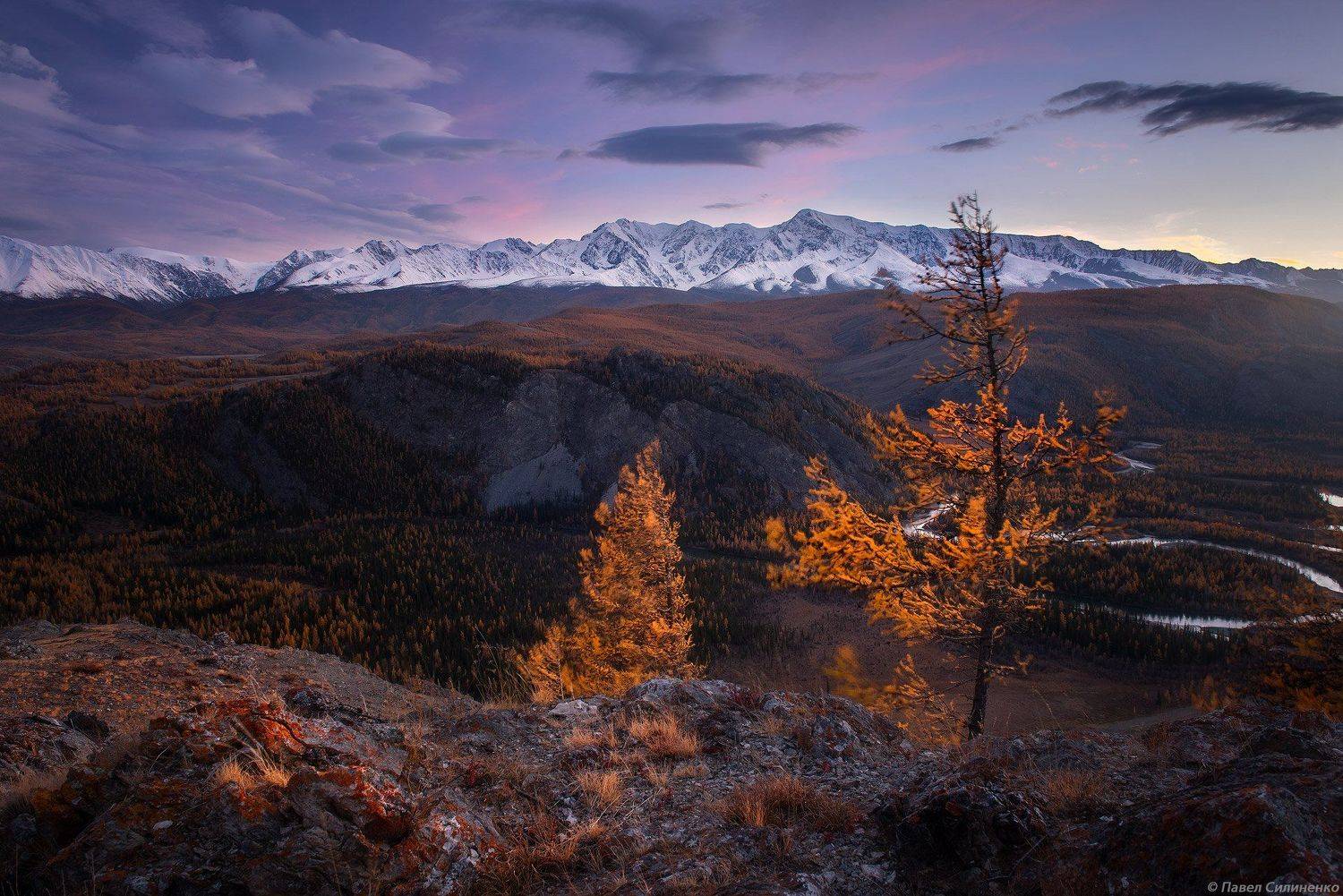 пейзаж, осень, лес, свет, солнце, желтый, алтай, горы, закат, Павел Силиненко
