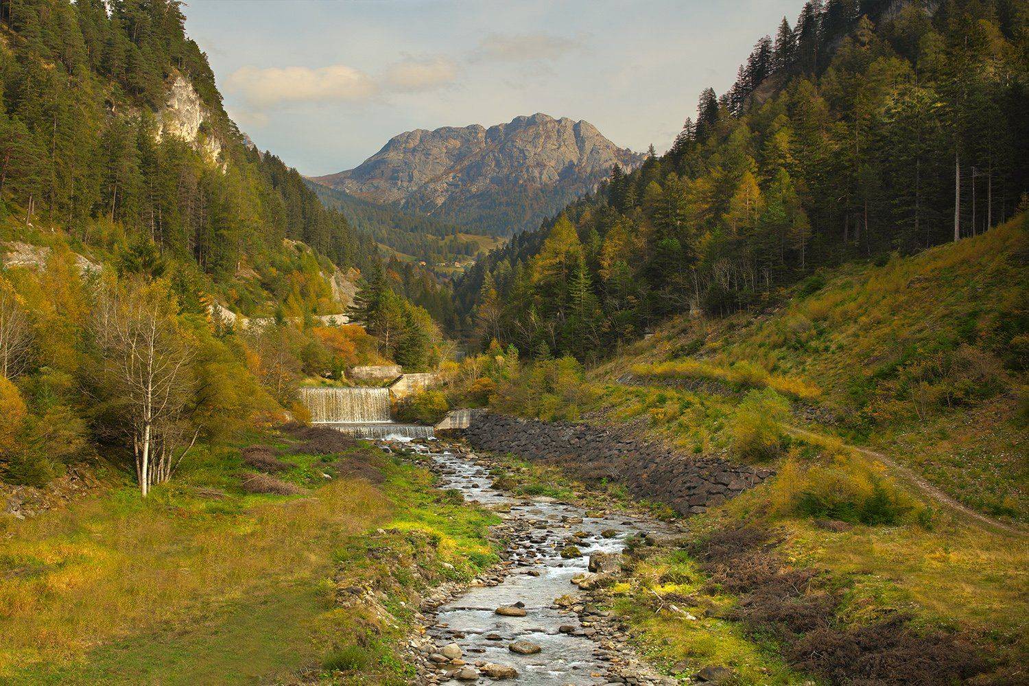 , Игорь Дубровский