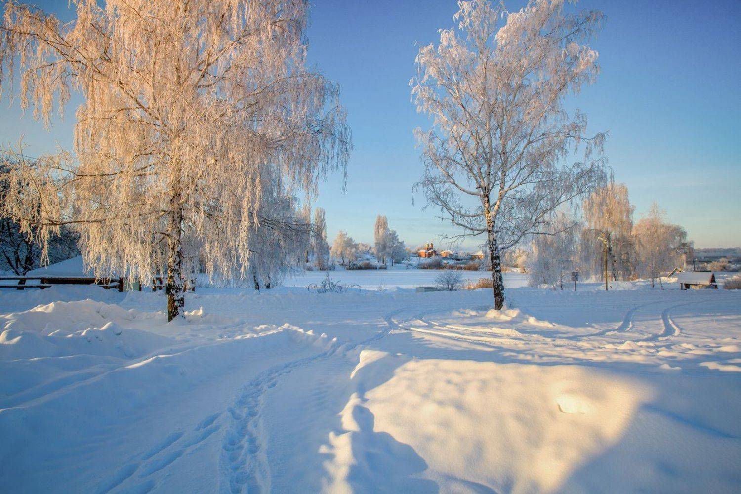 , Петр Антонович