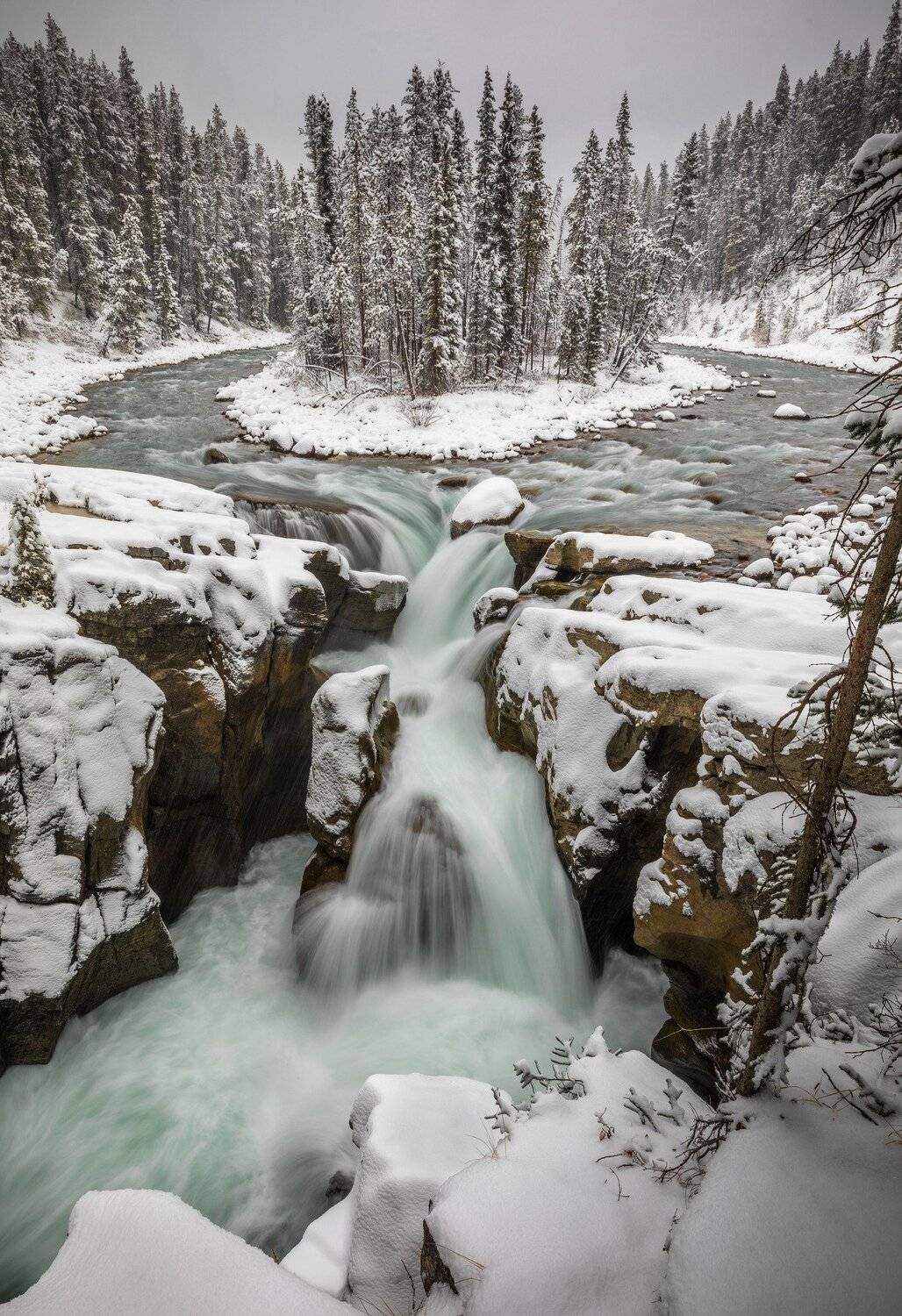 , Александр Лозицкий
