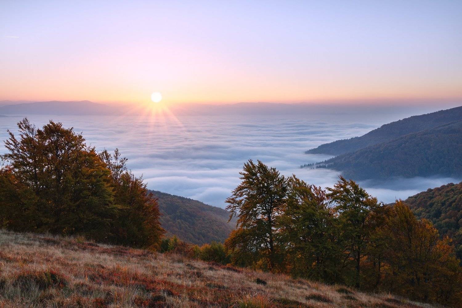 карпаты, боржава, Зинченко Роман