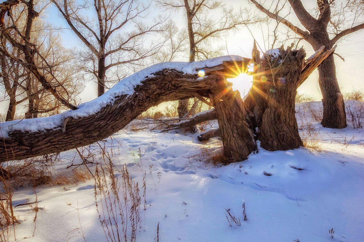 , Павел Сагайдак